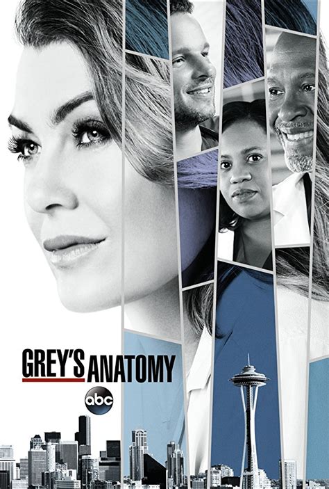 grey's anatomy season 14 fullrip|Season 14 (Grey's Anatomy).